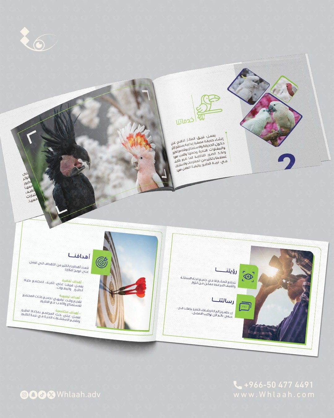 WhatsApp Image 2025-08-17 at 07.28.47 (2)