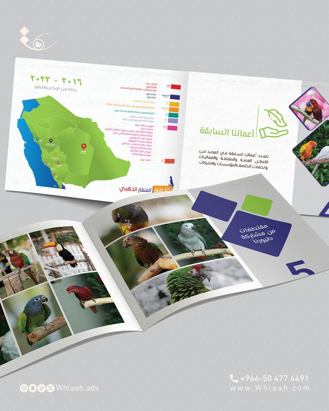 WhatsApp Image 2025-08-17 at 07.28.47 (3)