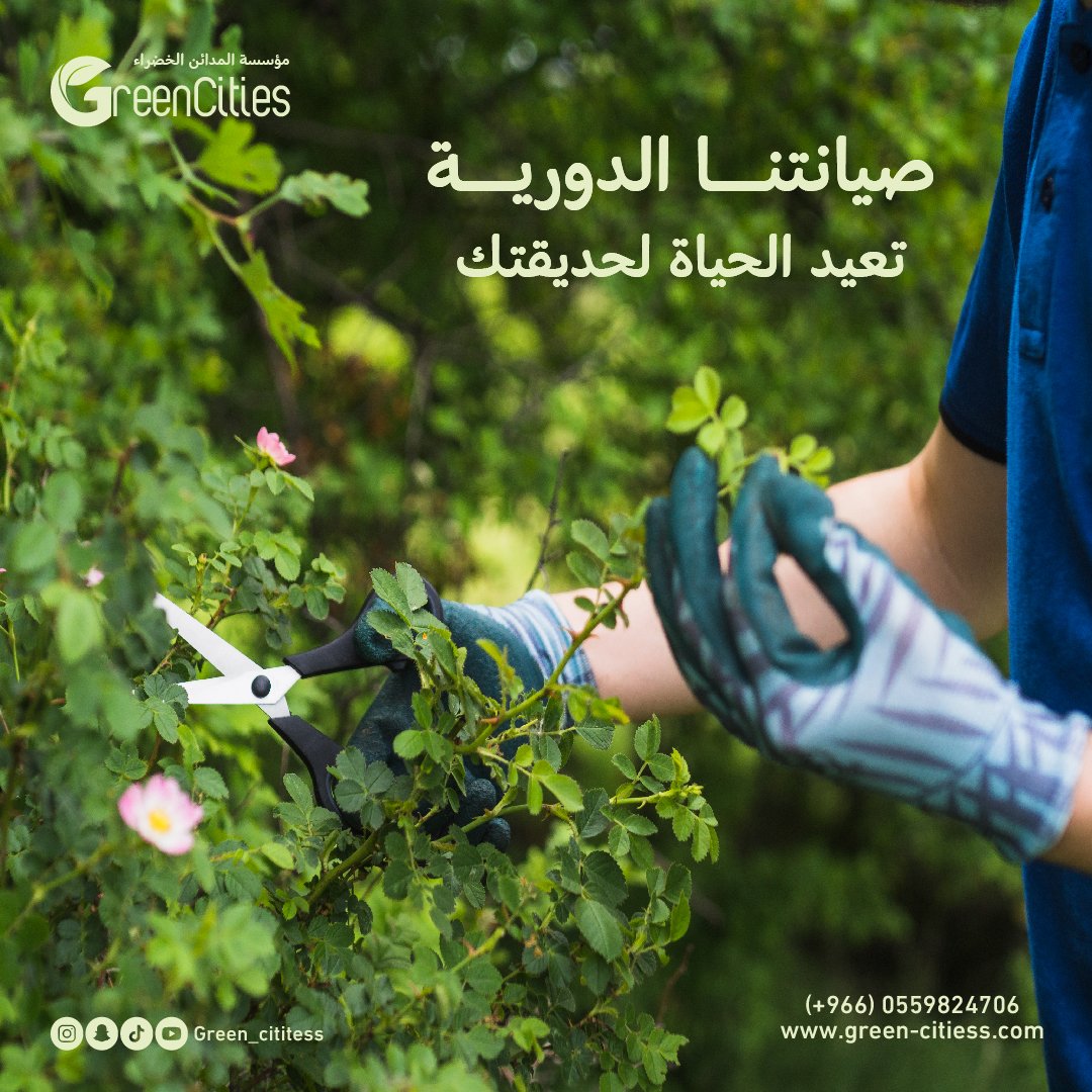 Green Cities_insta-Post-06