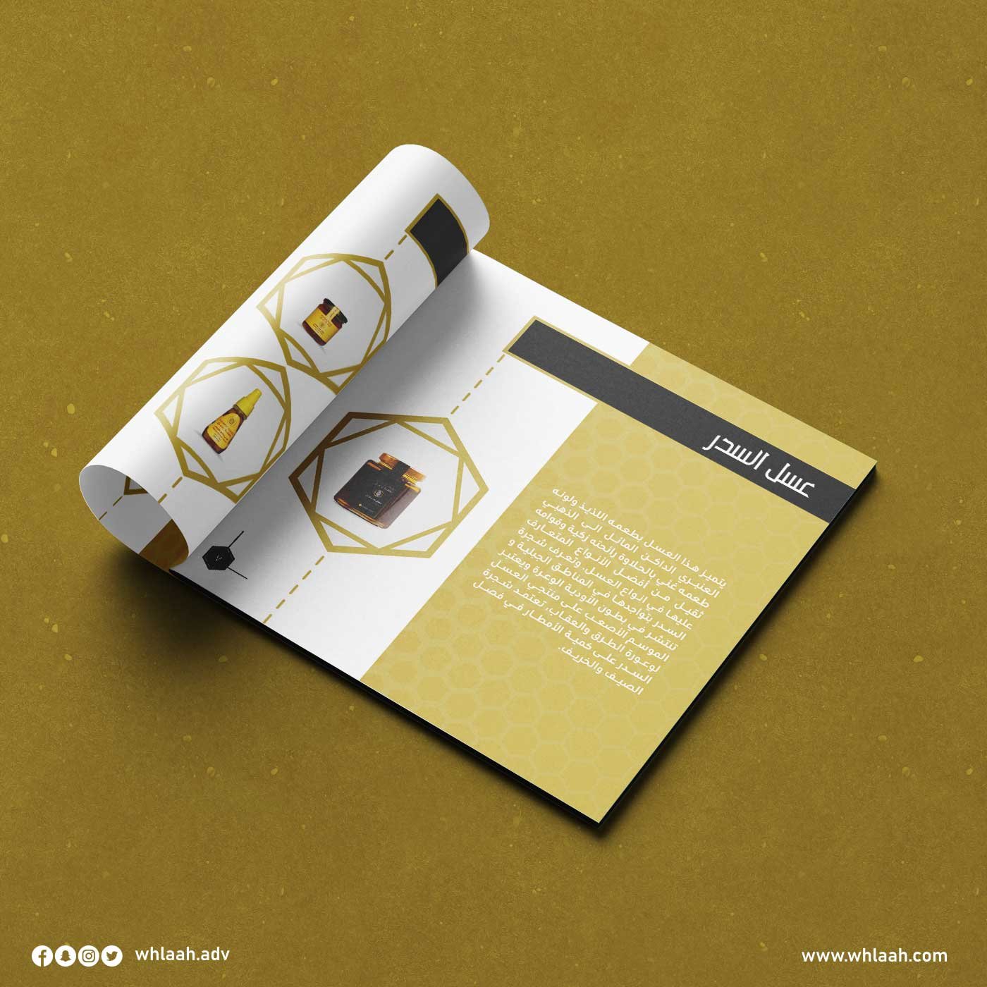 Rashfet-Raheeq-Ctaloug_04